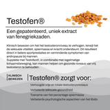 Testo Power